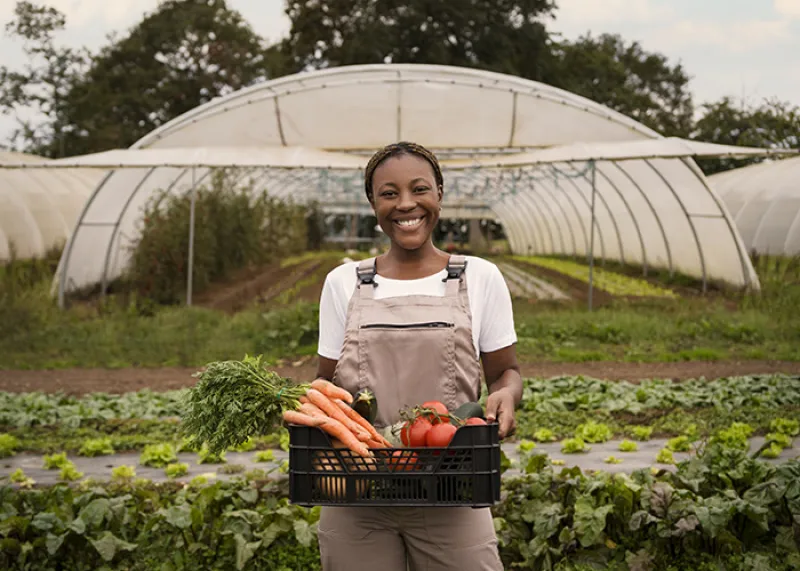 Aménagement Intégré d’une Ferme Agro-Pastorale à Bingerville